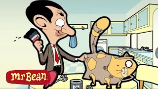 NEW Cat  Mr Bean Cartoon Season 1  Full Episodes  Mr Bean Official [upl. by Burris97]