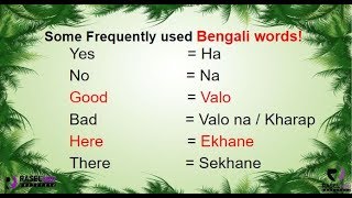 Learn Some Frequently Used Bengali Words in English Part 1 [upl. by Om]