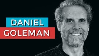 DANIEL GOLEMAN E A INTELIGÊNCIA EMOCIONAL  RODRIGO FONSECA [upl. by Sena801]