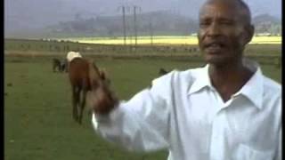 Fandishe Mullata Oromo Music  Sumaani Booya [upl. by Ardnasirhc]