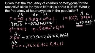 How to find genotype frequencies [upl. by Astraea]