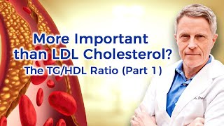 More Important than LDL Cholesterol The TGHDL Ratio Part 2 [upl. by Elletnuahc]