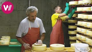 Cheesemaking  visiting a Swiss dairyman [upl. by Seafowl]