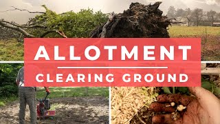 How to clear an Allotment  Allotments for beginners  vegetable gardening [upl. by Naivatco]