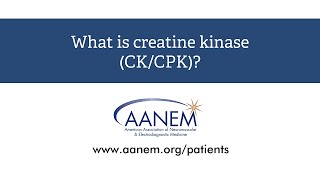 What is creatine kinase [upl. by Micki324]