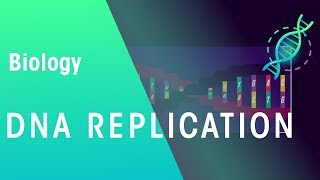 DNA Replication  Genetics  Biology  FuseSchool [upl. by Cost77]