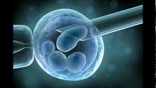 Genotype and Phenotype [upl. by Firman]