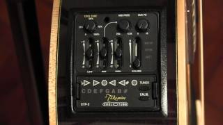 The Takamine CTP2 quotCool Tubequot Acoustic Guitar Preamp  review and user guide [upl. by Matless]