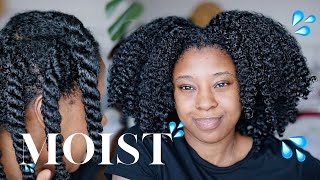 Moisturise DRY Natural Hair In 4 Easy Steps 🔢 Detailed wProduct Recommendations [upl. by Roy220]