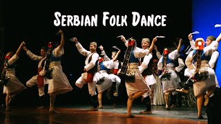 Serbian Folk Dance  The Tamburitzans [upl. by Safier]