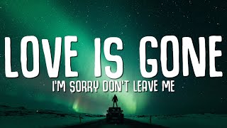 SLANDER  Love is Gone Lyrics ft Dylan Matthew Acoustic quotIm sorry dont leave mequot [upl. by Zetnas]