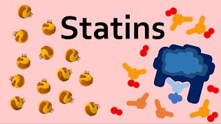 Atherosclerosis  Cholesterol LDL HDL Triglycerides [upl. by Sirehc211]