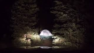 Bigfoot Screams Recorded by Hunter in BC [upl. by Gemini]