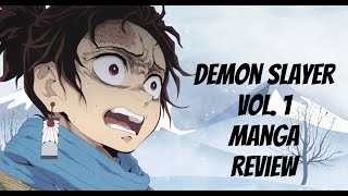 DEMON SLAYER MANGA VOL 1 [upl. by Harilda327]