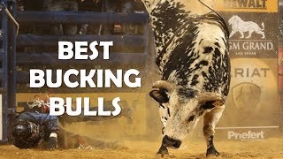 Best Bucking Bulls Ever [upl. by Ardnac]