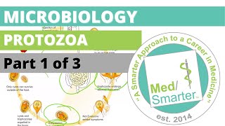 Protozoa  Microbiology  USMLE STEP 1  Part 1 of 3 [upl. by Eelatan]