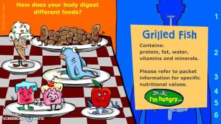 Introduction to the Digestive System [upl. by Nnovahs]