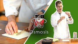 Osmosis  GCSE Science Required Practical [upl. by Gervase]