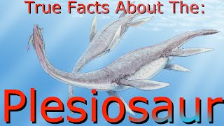 True facts About The Plesiosaur [upl. by Neelak614]