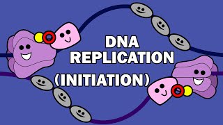 DNA REPLICATION 13  INITIATION [upl. by Ayo]