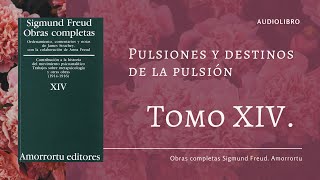 Freud Tomo XIV Pulsiones y destinos de pulsión 1915 en Audio [upl. by Leoj270]