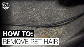 Easiest Way to Remove Pet Hair in Seconds  Chemicals Guys [upl. by Kcirdlek]