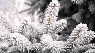 Winter Wonderland  The Season Of Winter  The Gunter Kallman Choir [upl. by Auohp]