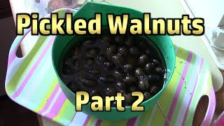 How to Make Candied Walnuts with Brown Sugar  Todays Delight [upl. by Ynaffet960]