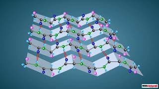 Proteins and their Structure [upl. by Stearn]