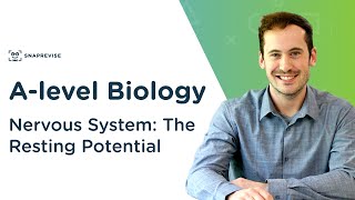 Nervous System The Resting Potential  Alevel Biology  OCR AQA Edexcel [upl. by Lombardi]