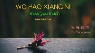 Wo Hao Xiang Ni lyric I Miss You Much  Pinyin amp English  Learn Chinese by songs [upl. by Hilda]