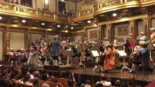 Mozart Orchestra Vienna Opera [upl. by Arreip]