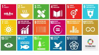 UN Sustainable Development Goals SDGs What They Are amp Why Theyre Important [upl. by Wavell]