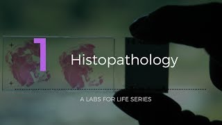 Histopathology [upl. by Attaynek]