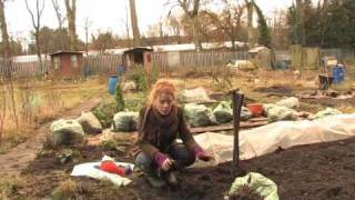 Winter work on the allotment with Alys Fowler [upl. by Nylarak]