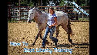 How To Start Liberty Training With Your Horse Basic Exercises Part 1 [upl. by Lyndsey341]