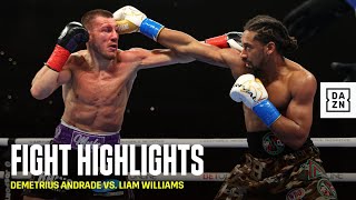 HIGHLIGHTS  Demetrius Andrade vs Liam Williams [upl. by Ev]