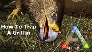 The Easiest way to Trap Griffin CHEAP TRAP Ark Survival Evolved [upl. by Sylirama]