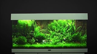 Aquarium einrichten JUWEL Rio 180  Tutorial [upl. by Samuelson]