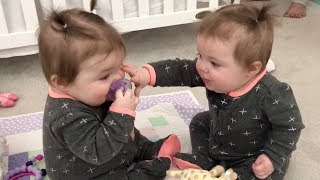 Funniest TWIN Baby Girls Share A Pacifier [upl. by Tiler873]