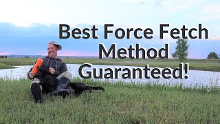 Best Force Fetch Method Guaranteed [upl. by Branch]