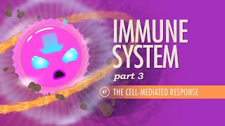 Immune System Part 3 Crash Course Anatomy amp Physiology 47 [upl. by Nameloc515]