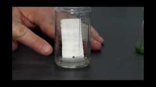 6 O Chem Thin Layer Chromatography CC [upl. by Bindman]