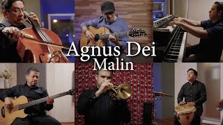 Agnus Dei Instrumental Cover  MALIN [upl. by Norbert921]