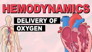 Delivery of Oxygen  Hemodynamics Part 2 [upl. by Vivien]