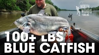 100 Plus Pound Blue Catfish Missouri River Missouri  Northwoods Angling [upl. by Denby451]