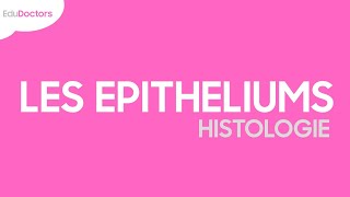 Les épithéliums  Histologie [upl. by Airemat]