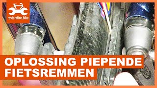 Piepende fietsremmen oplossen [upl. by Wahs22]