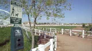 Walkthrough of Agritopia Farms amp Joes Farm Grill in Gilbert Arizona [upl. by Anaid]