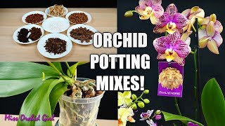 What is the best Potting Mix for your Orchid  Learn about Orchid Media Orchid Care for Beginners [upl. by Gerianna]